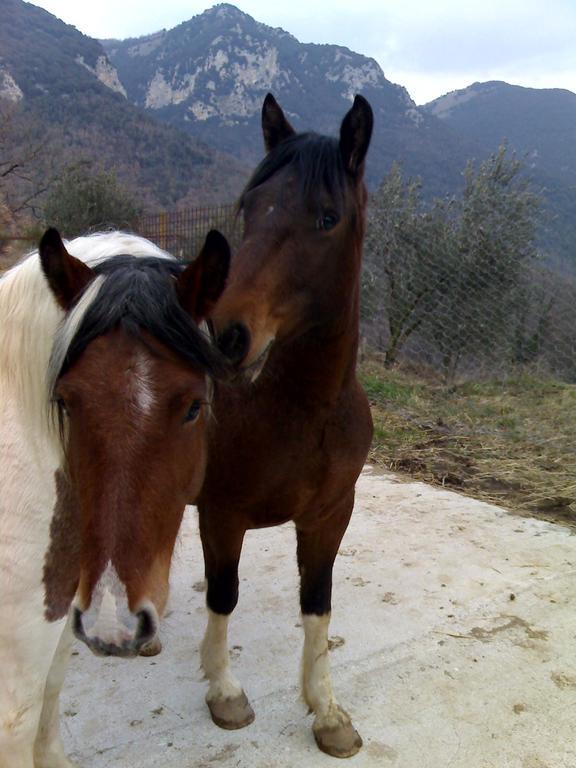 Valle Del Belvedere Spoleto Buitenkant foto